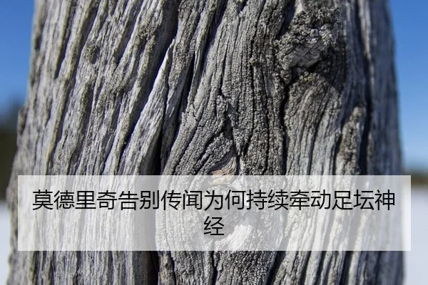 莫德里奇告别传闻为何持续牵动足坛神经